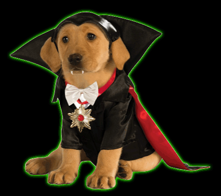 Dracula Pet Costume