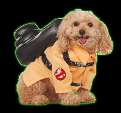 Pet Ghostbusters Costume