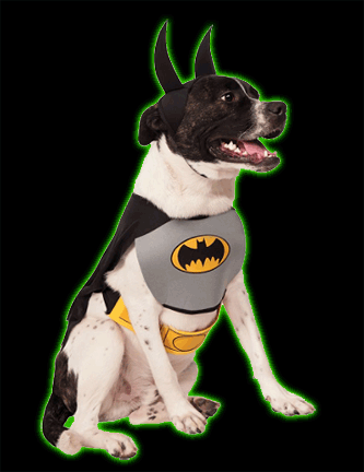 Classic Batman Pet Costume