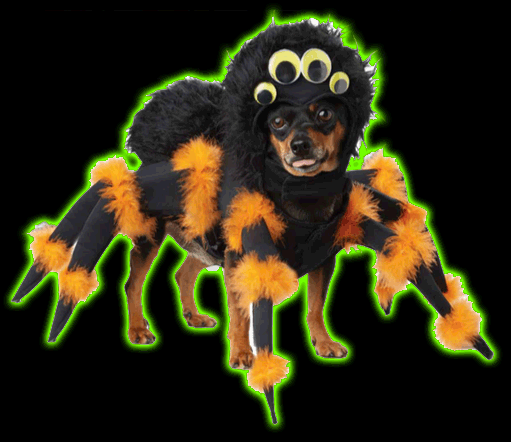 Spider Pup Pet Costume