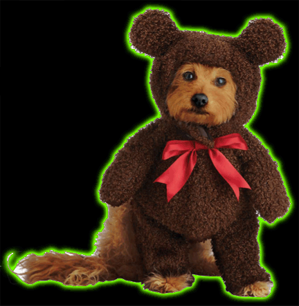 Teddy Bear Pet Costume