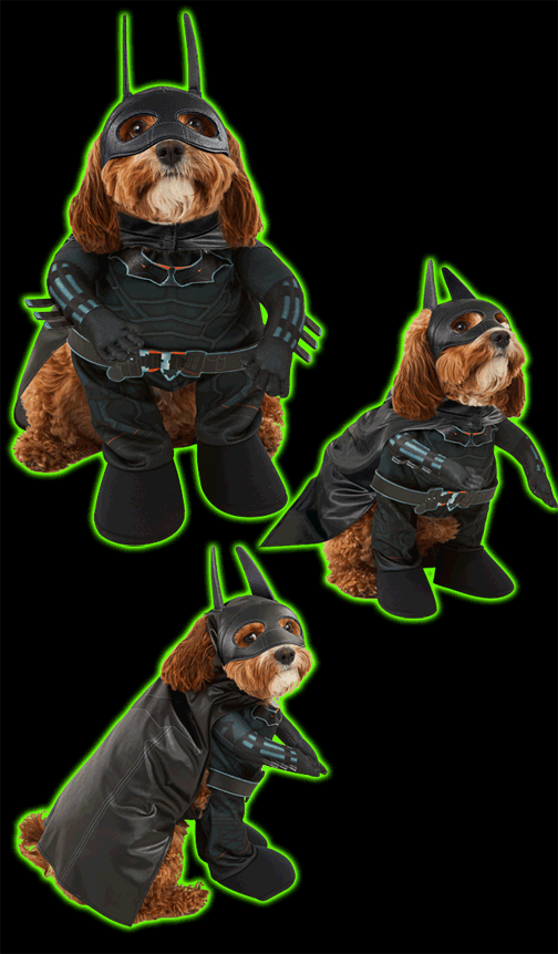 The Batman 2022 Pet Costume
