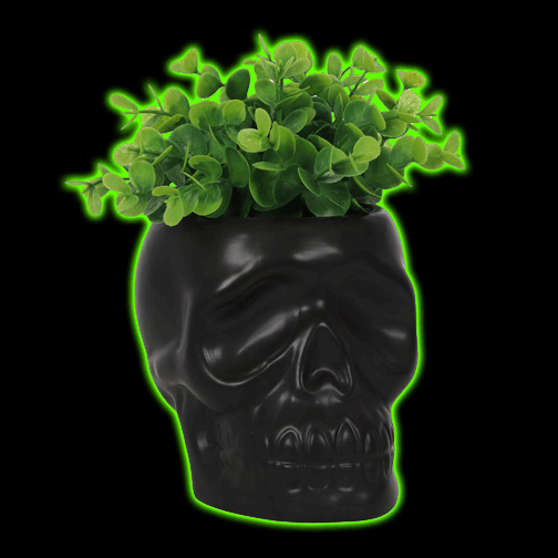 BLACK CERAMIC SKULL PLANTER