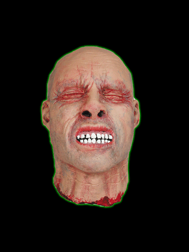 Severed Head With Eyes Closed Prop