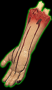 Severed Arm Prop