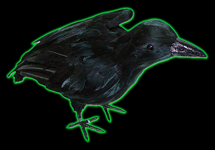 Crow Prop With Wings Partially Opened
