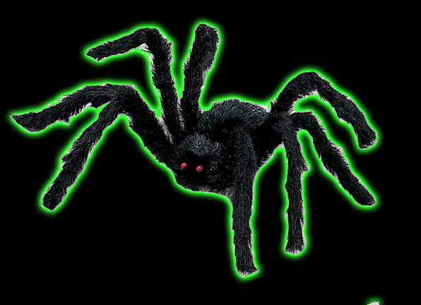 Hairy Spider With Poseable Legs