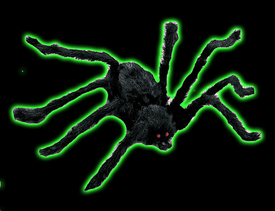 Large Poseable Hairy Spider