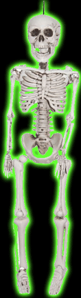 36 inch Plastic  Skeleton