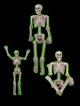 5Ft. Plastic Life Size Poseable Skeleton