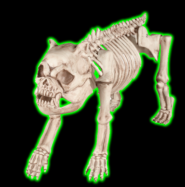 Bones The Bulldog Skeleton Dog Prop