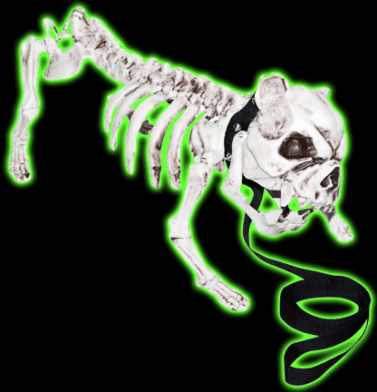 Zombie Skeleton Pitbull Dog Decoration