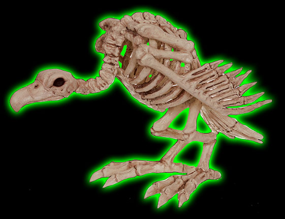Skeleton Vulture Decor