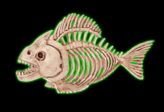 Skeleton Fish