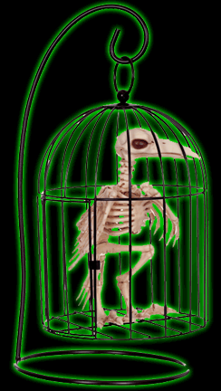 Skeleton Crow In Small Cage