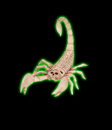 Skeleton Scorpion