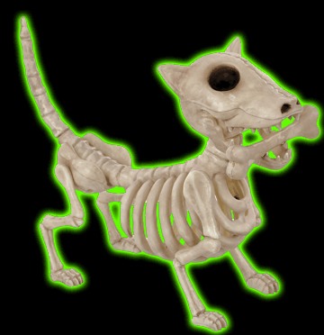 Digger The Skeleton Dog