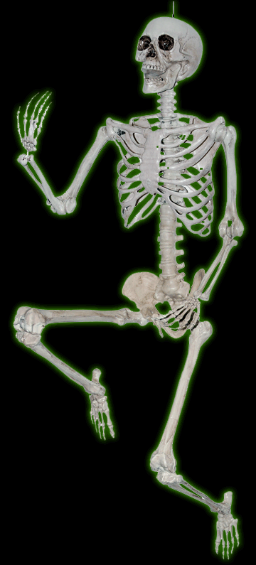 Titan Poseable Skeleton -  6.6 Foot Tall