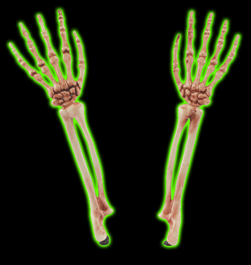Prop Skeleton Arms