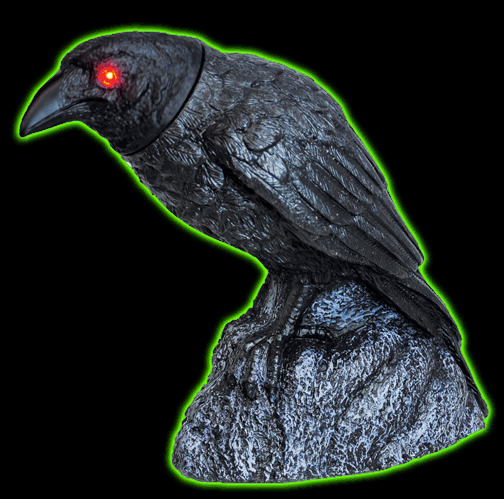 Animated Raven With Turning Head and Sound