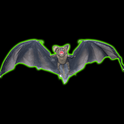 Giant Red Eyed Vampire Bat