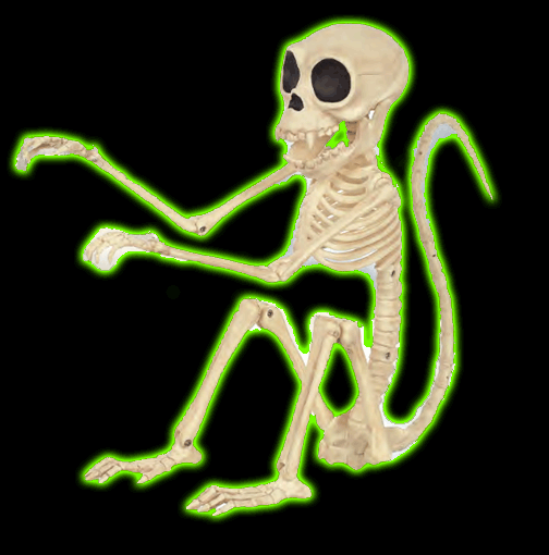 SKELETON MONKEY