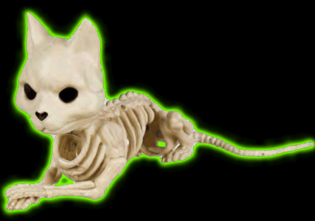 CUTE SKELETON CAT