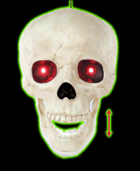 TALKING SKULL WITH LIGHT UP EYES AND MOVING JOB