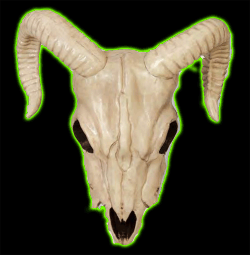 RAM SKULL