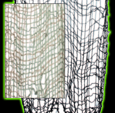 Cargo net Black or Green