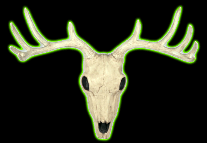 Buck Skull Prop