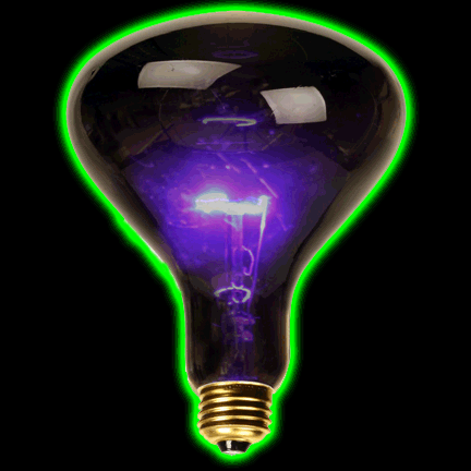 Blacklight Spot Bulb