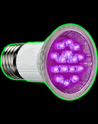 LED Blacklight Bulb