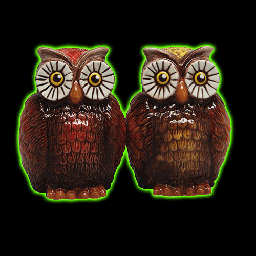 Owls Salt and Pepper Shakers