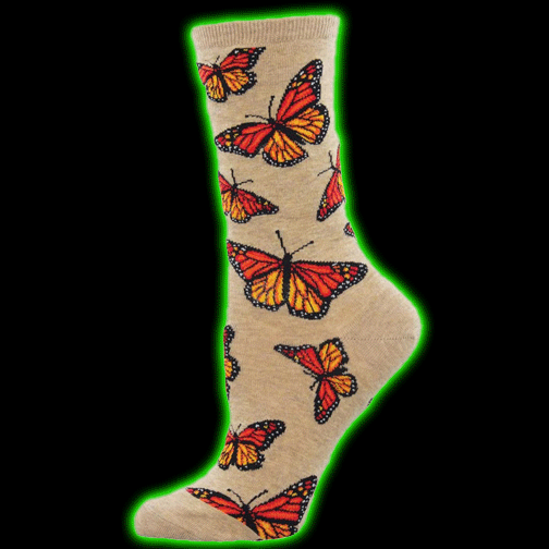 SOCIAL BUTTERFLY WOMENS SOCKS
