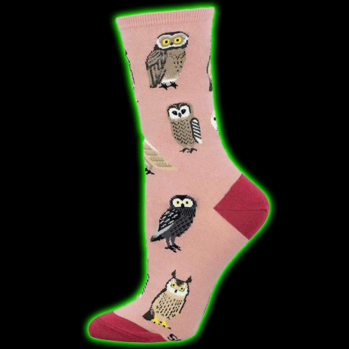 PARLIAMENT OF OWLS WOMENS SOCKS