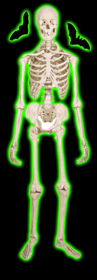 3D Skeleton Sticker