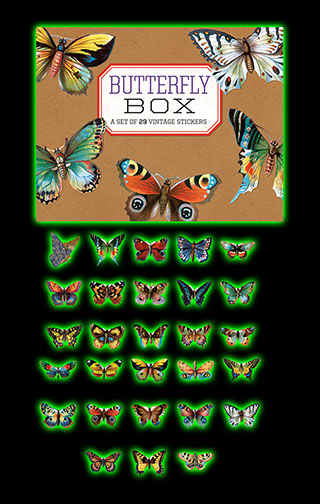 Butterfly Box Stickers