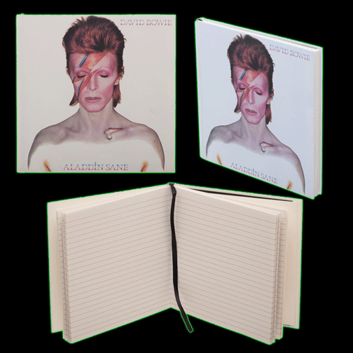 David Bowie Aladdin Sane Album Cover Journal