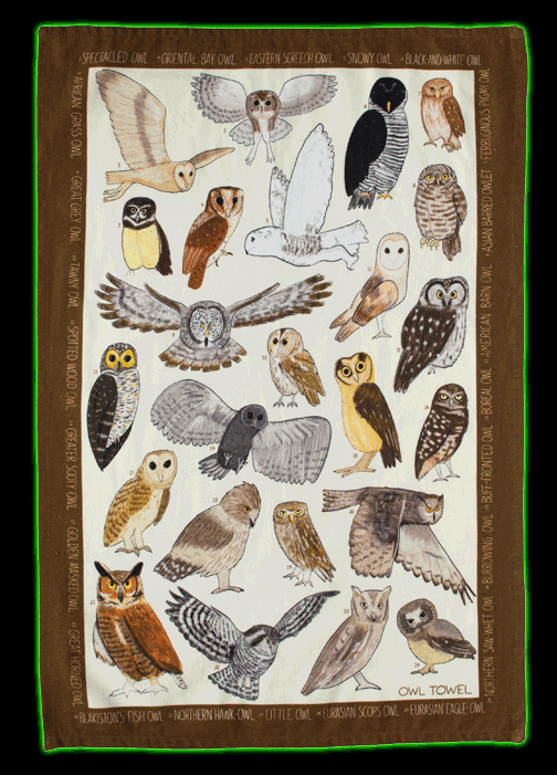 OWL TOWEL