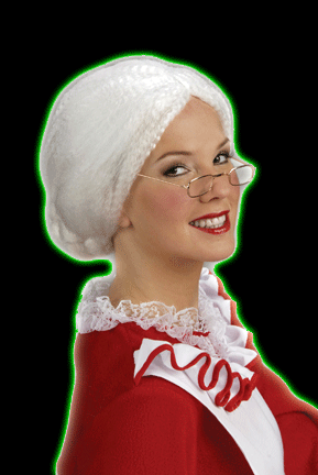 Mrs Santa Wig