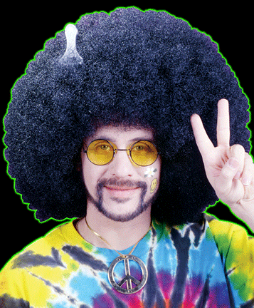 Super Fro Afro Wig