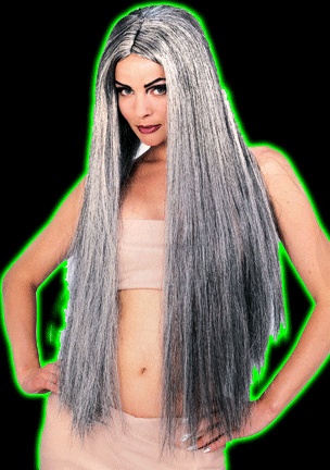 28 Inch Long Grey Wig