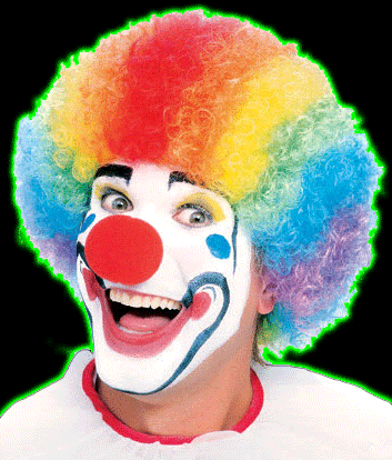 Multicolored Clown Wig