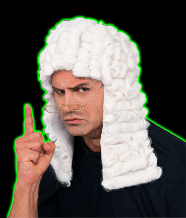 White Judge Wig