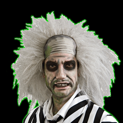 Beetlejuice Wig