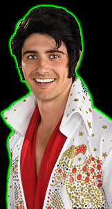 Elvis Wig