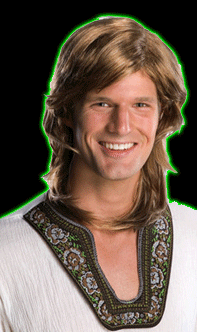 70's Guy Wig - Brown