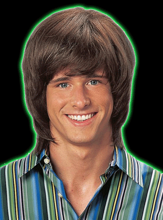 70's Brown Shag Wig