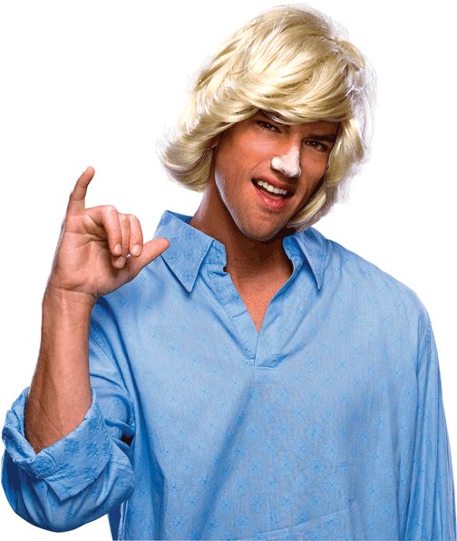 Surfer Dude Wig